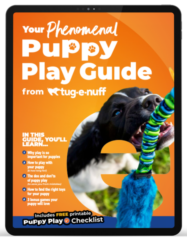 Your Phenomenal Puppy Play Guide